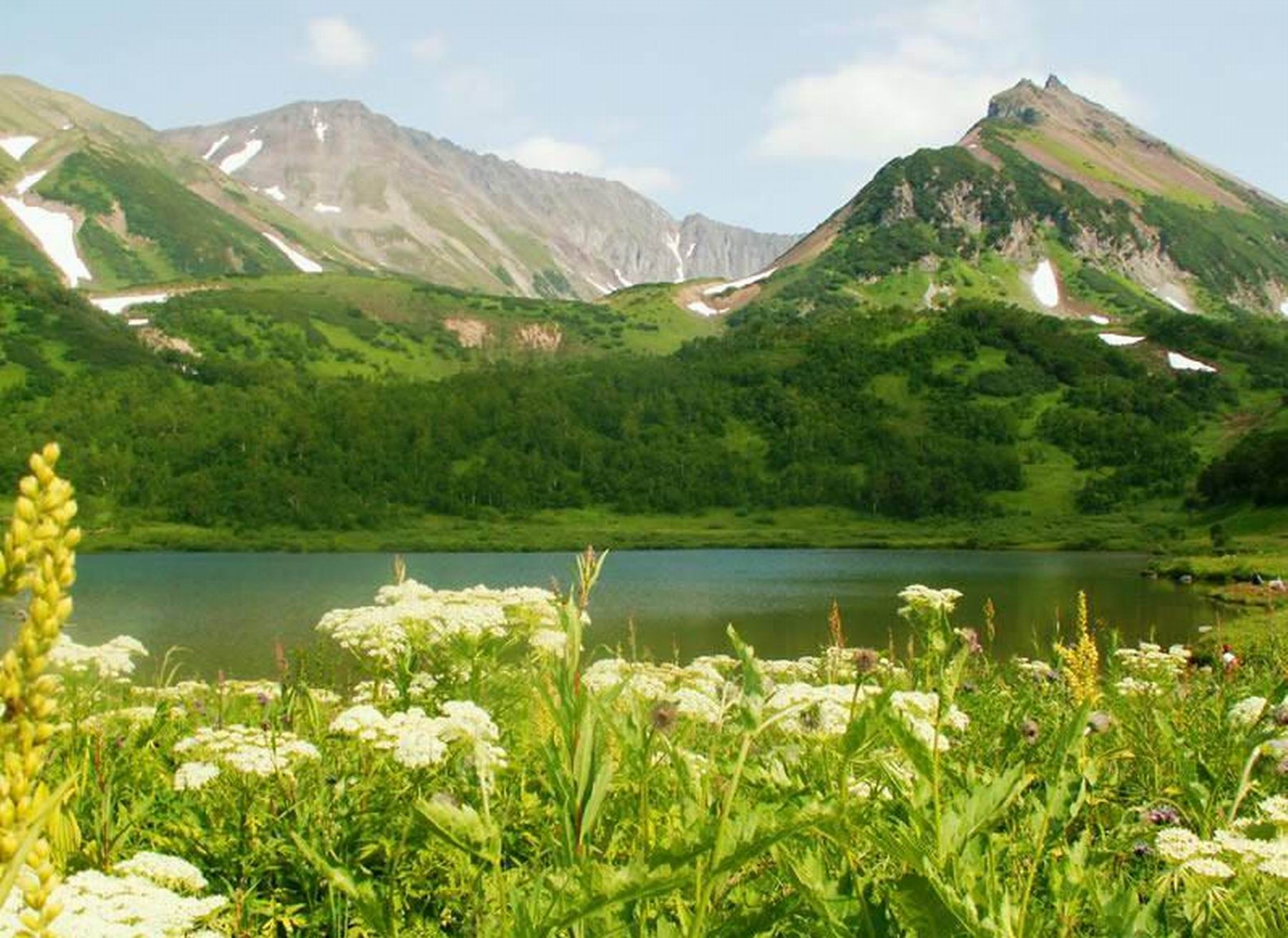 ���������