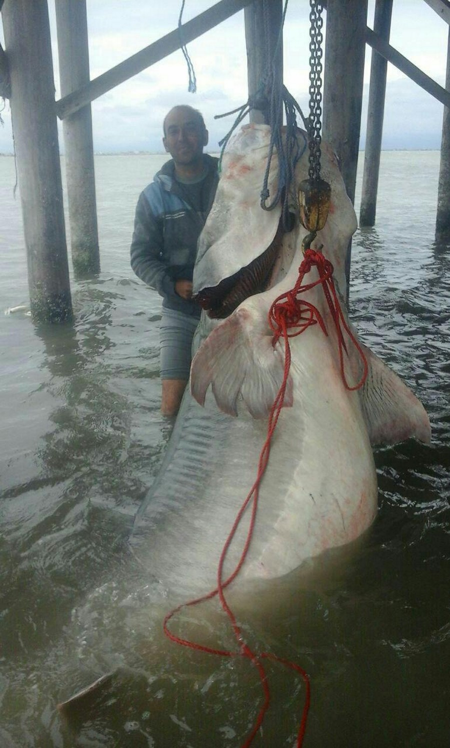 ���������