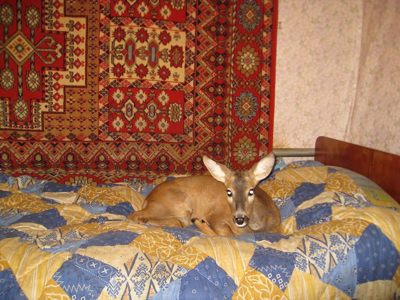 ���������