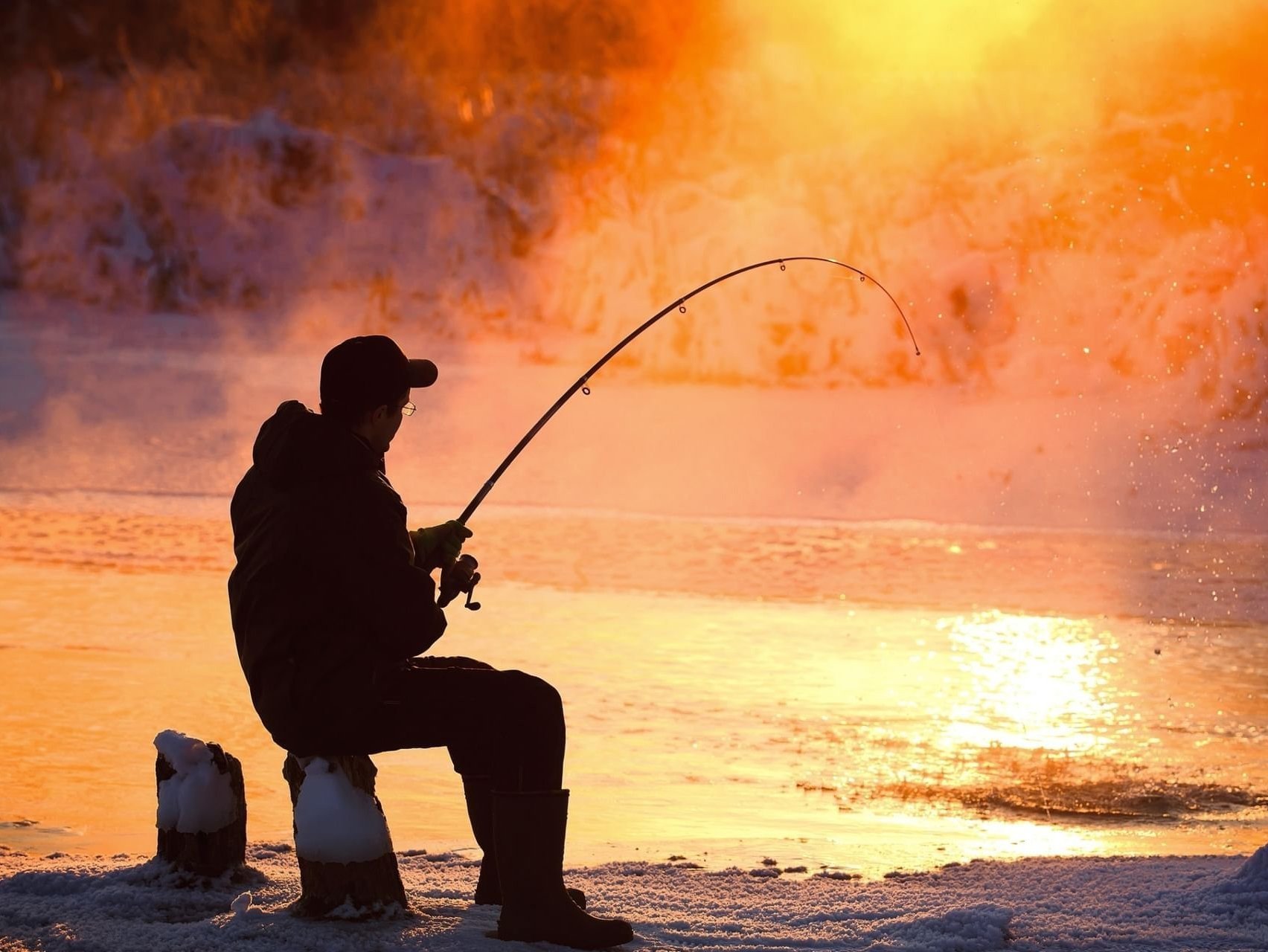 ���������