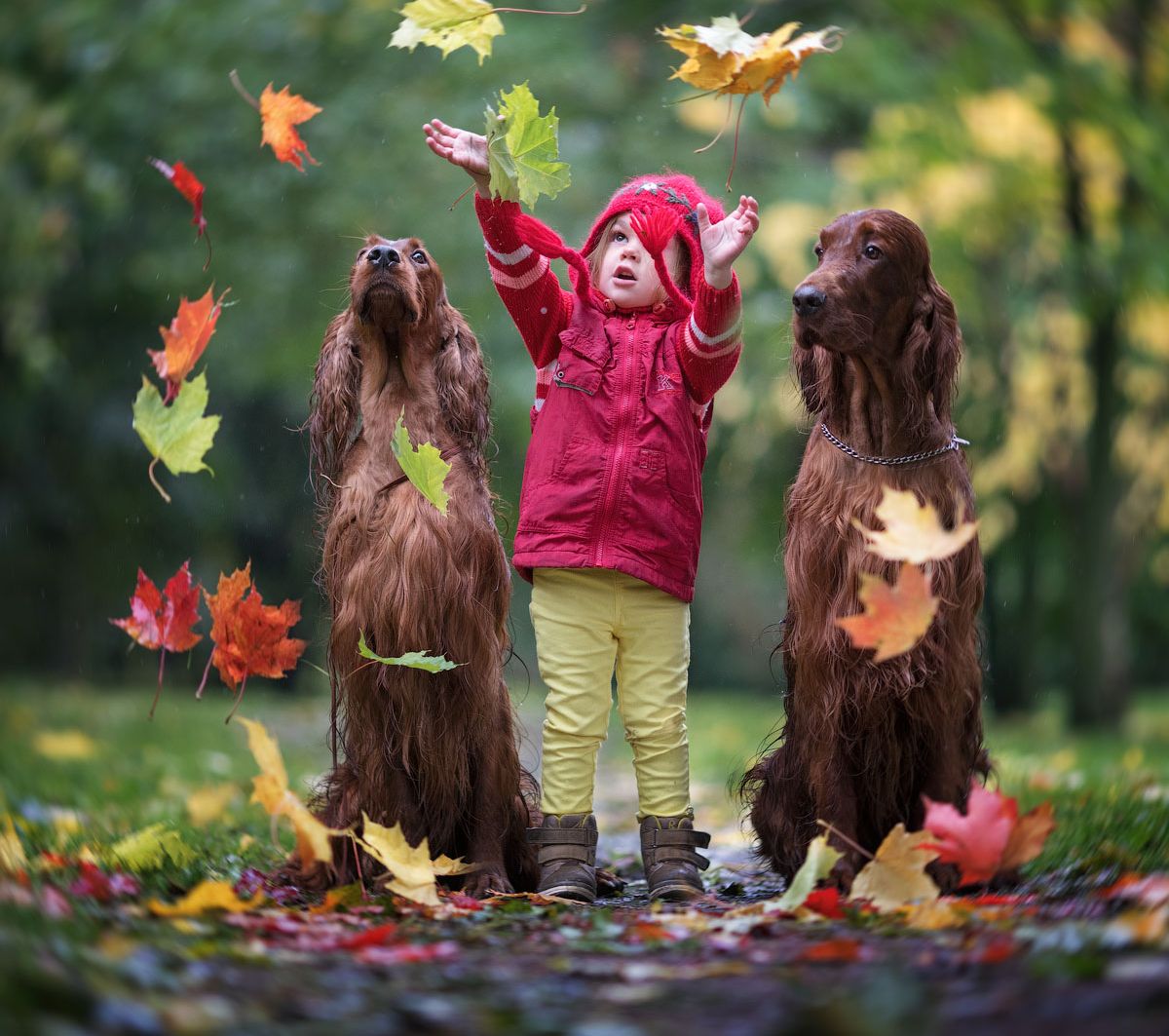 ���������