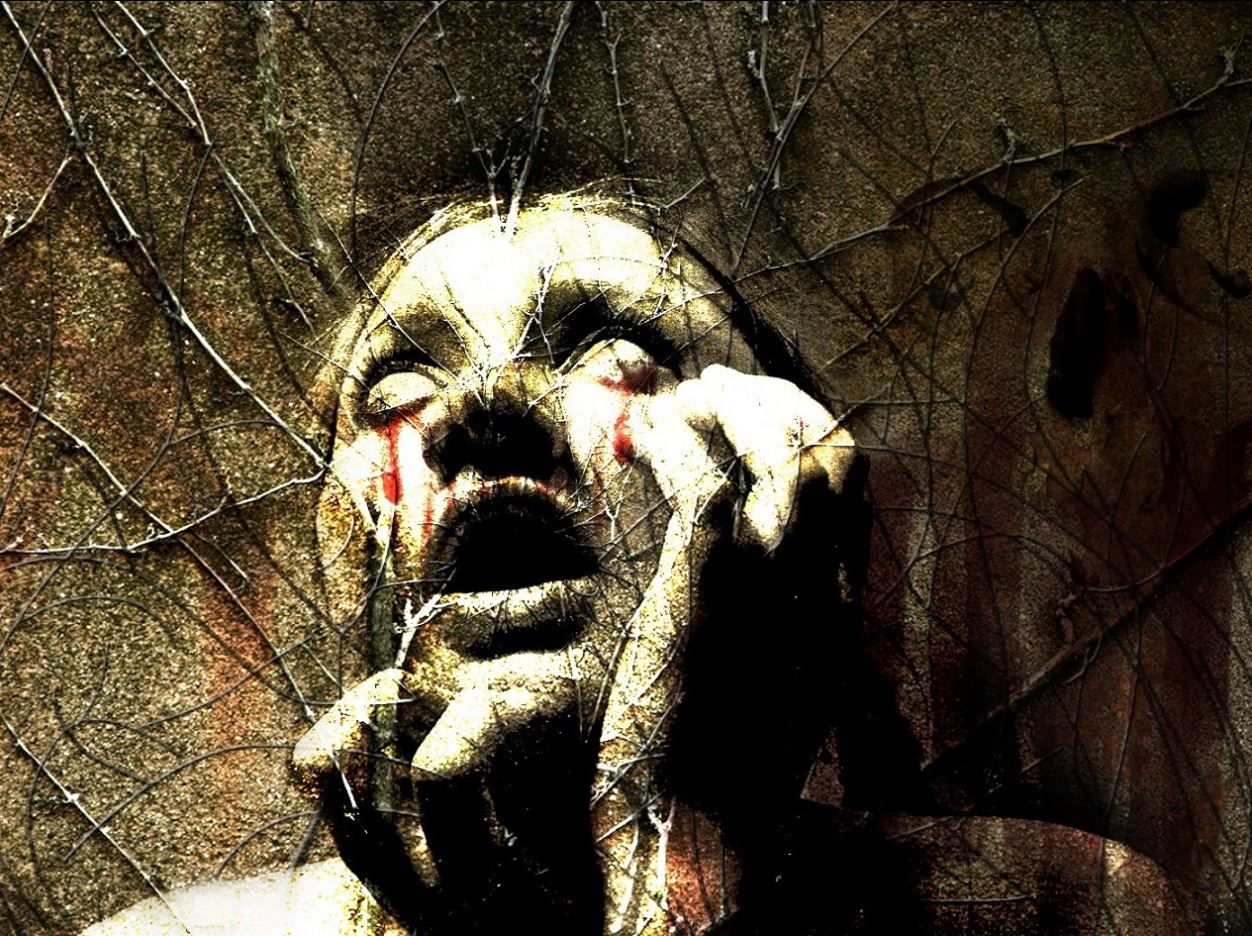 ���������