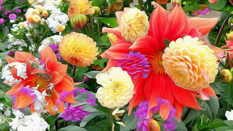 ���������