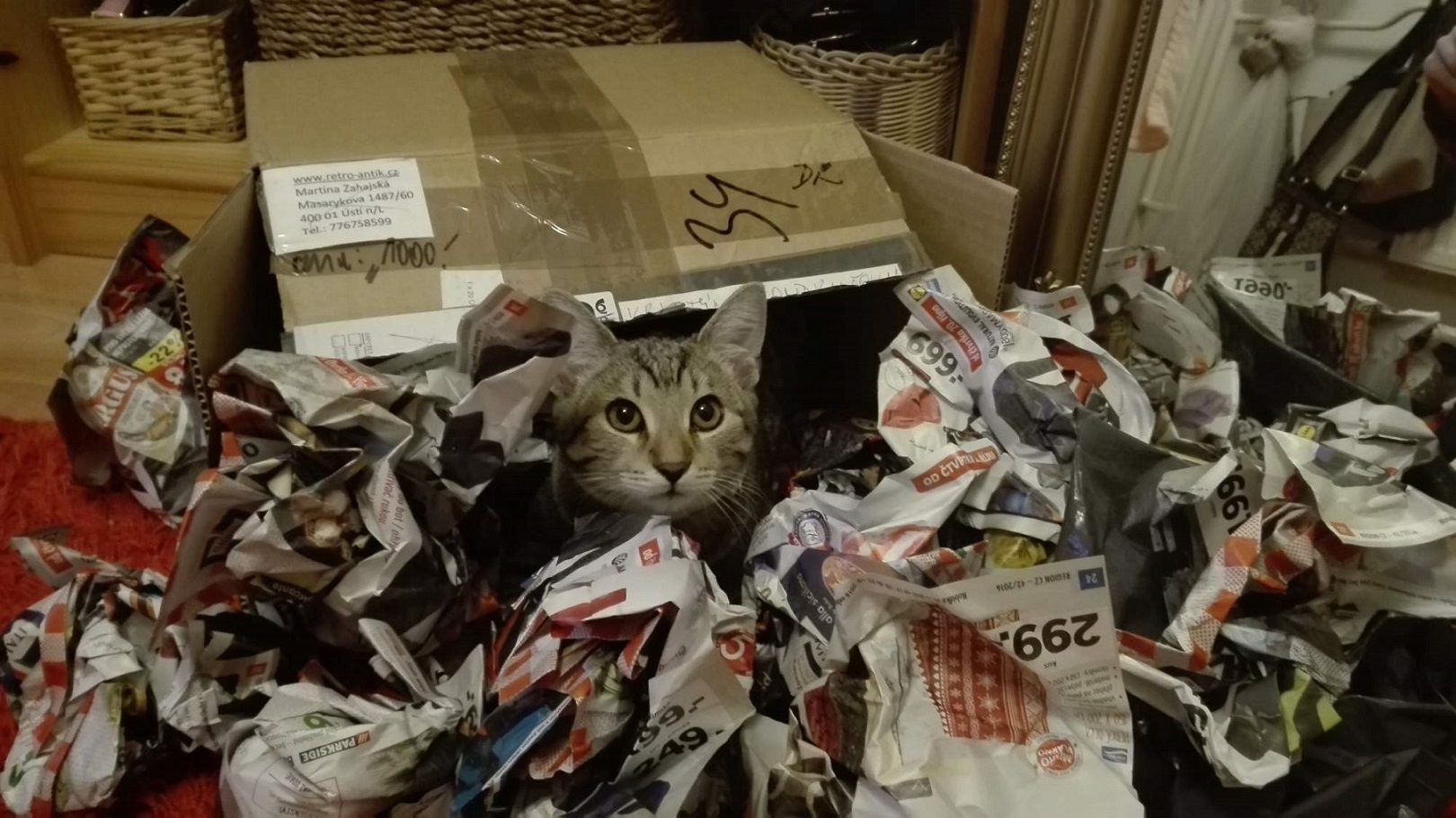 ���������