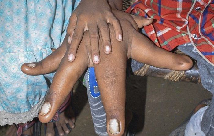 ���������