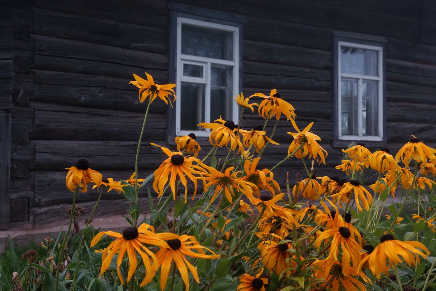 ���������