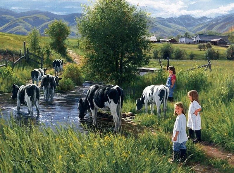 ���������