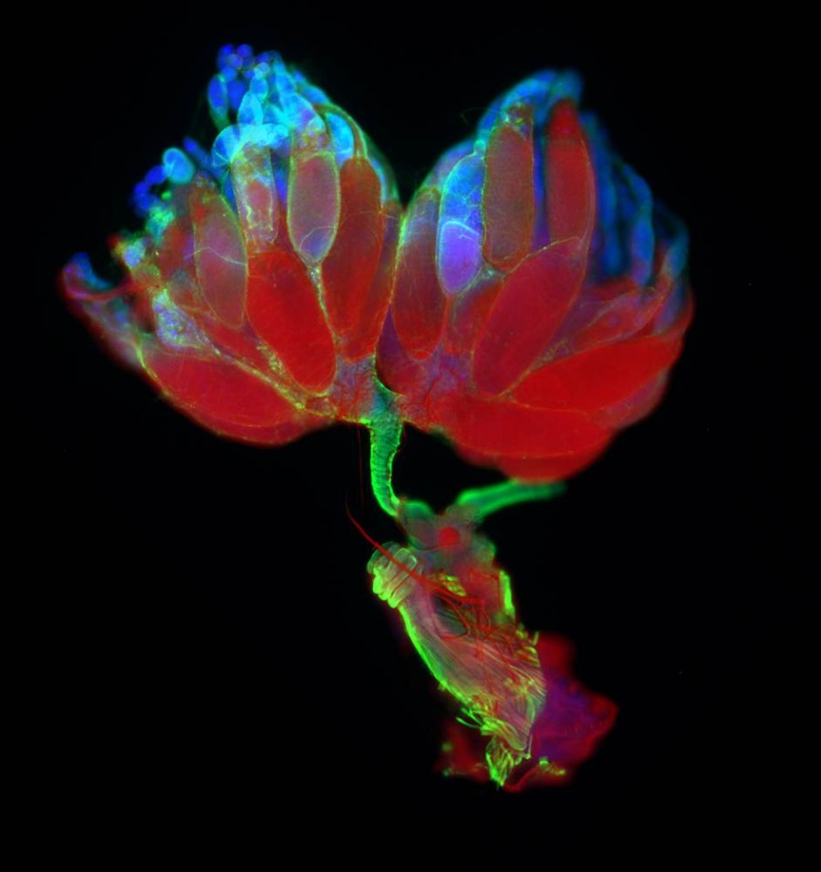 ���������