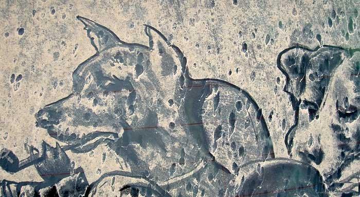 ���������