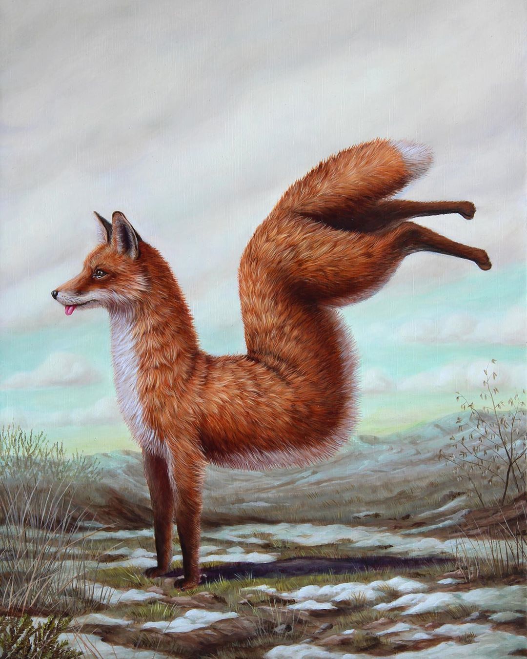 ���������