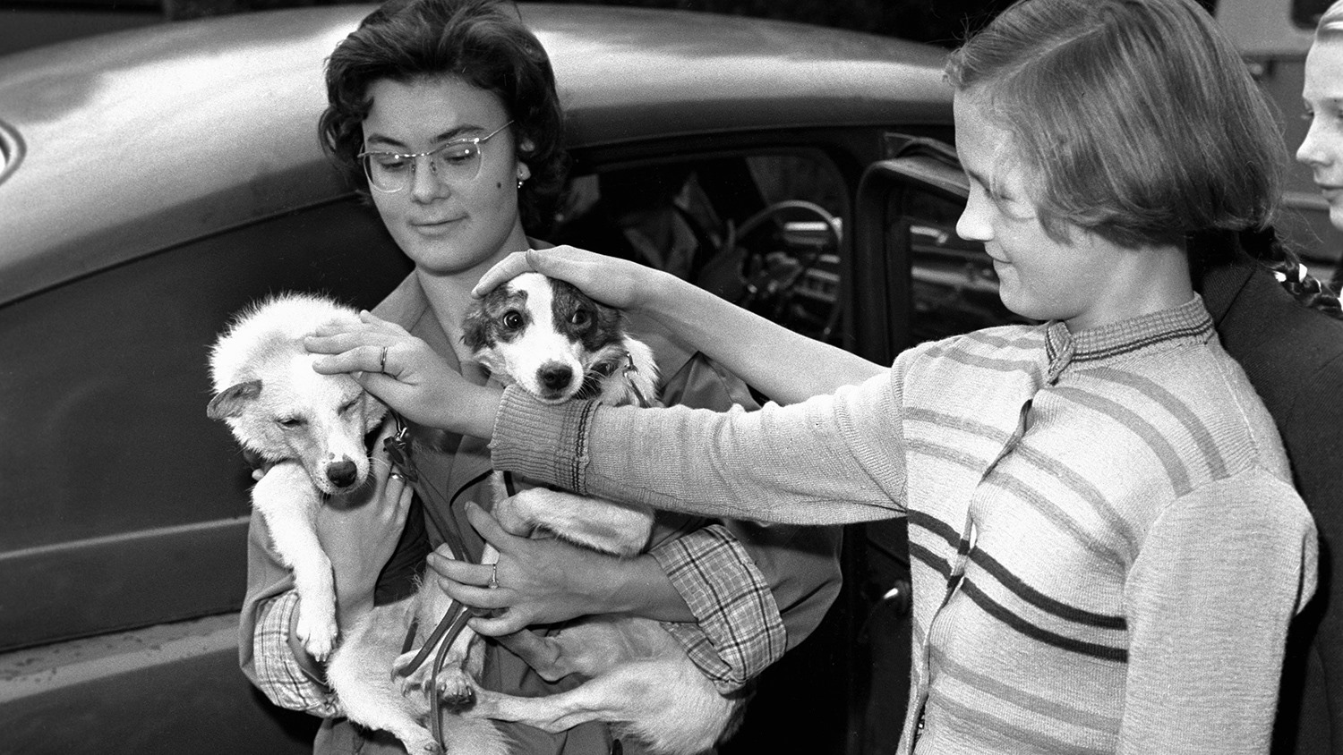 ���������