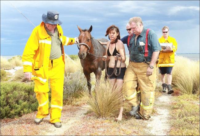 ���������