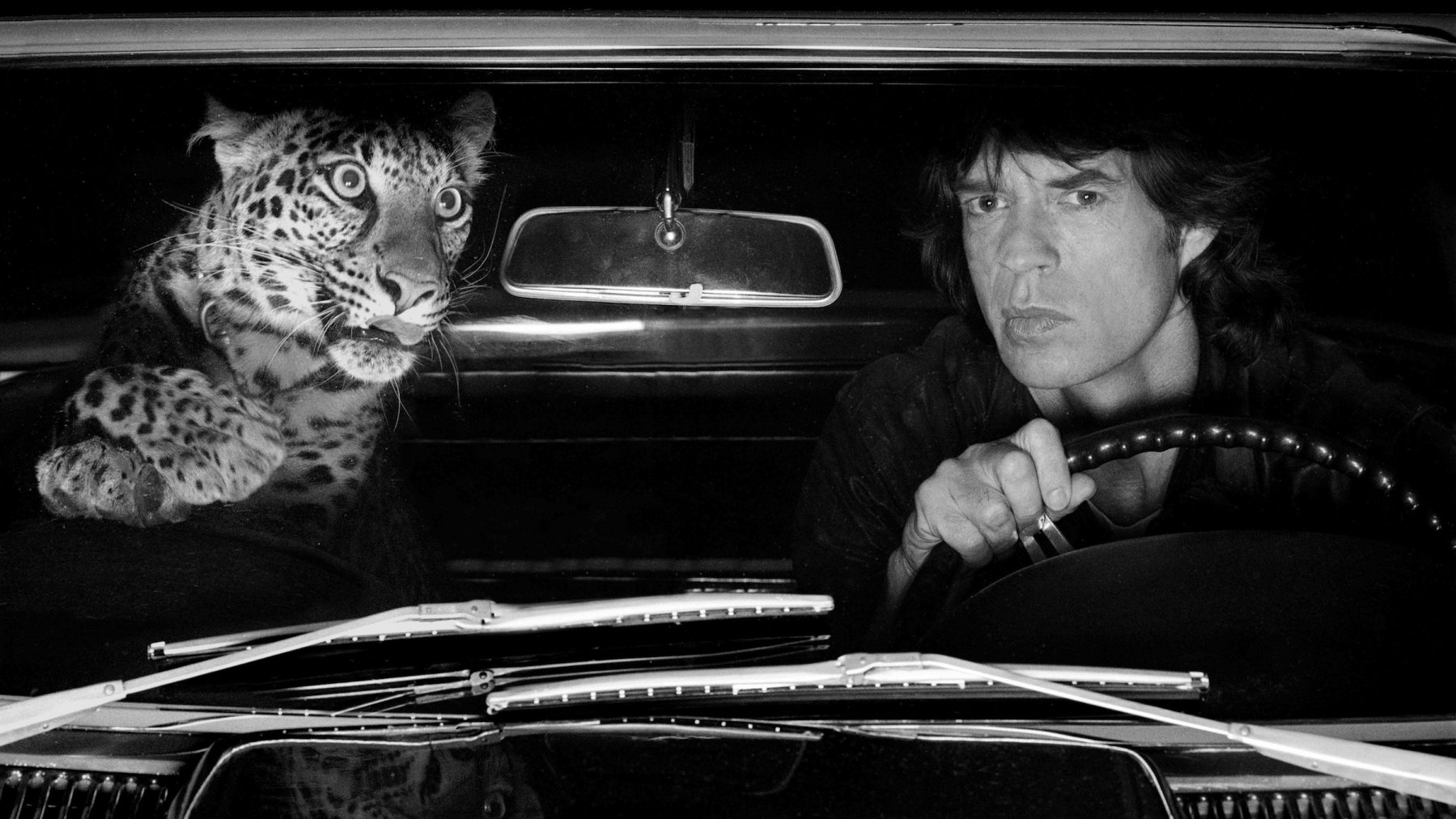 ���������