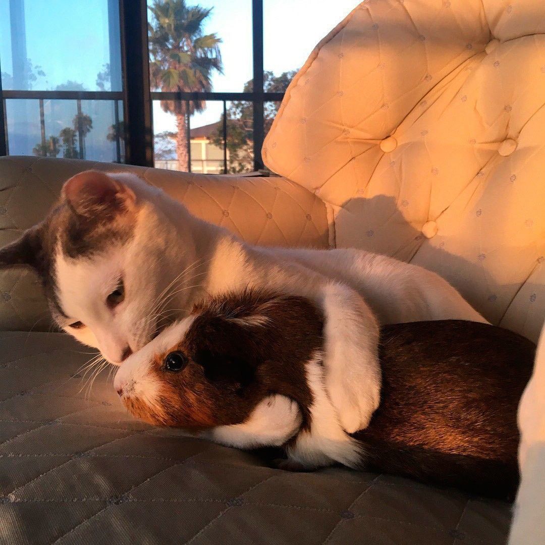 ���������