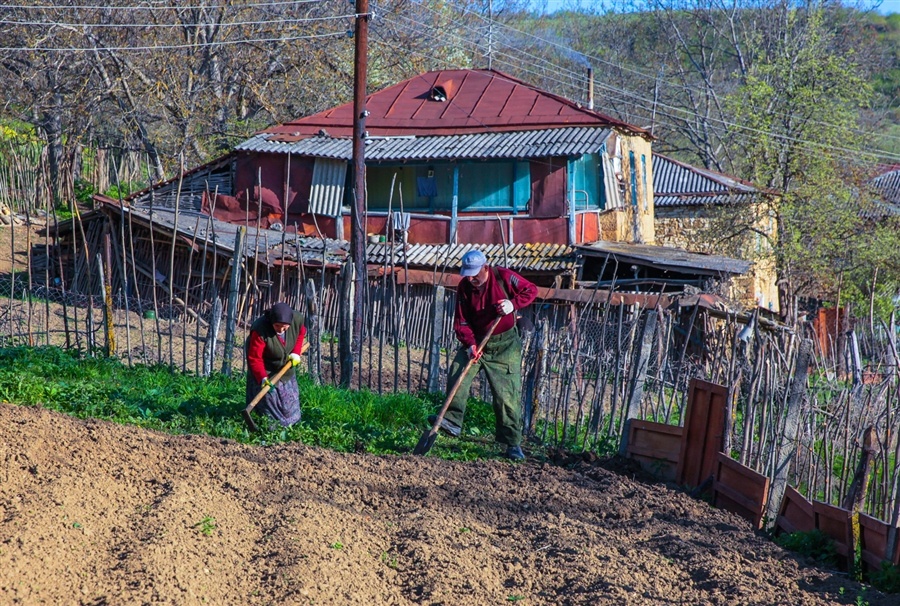 ���������