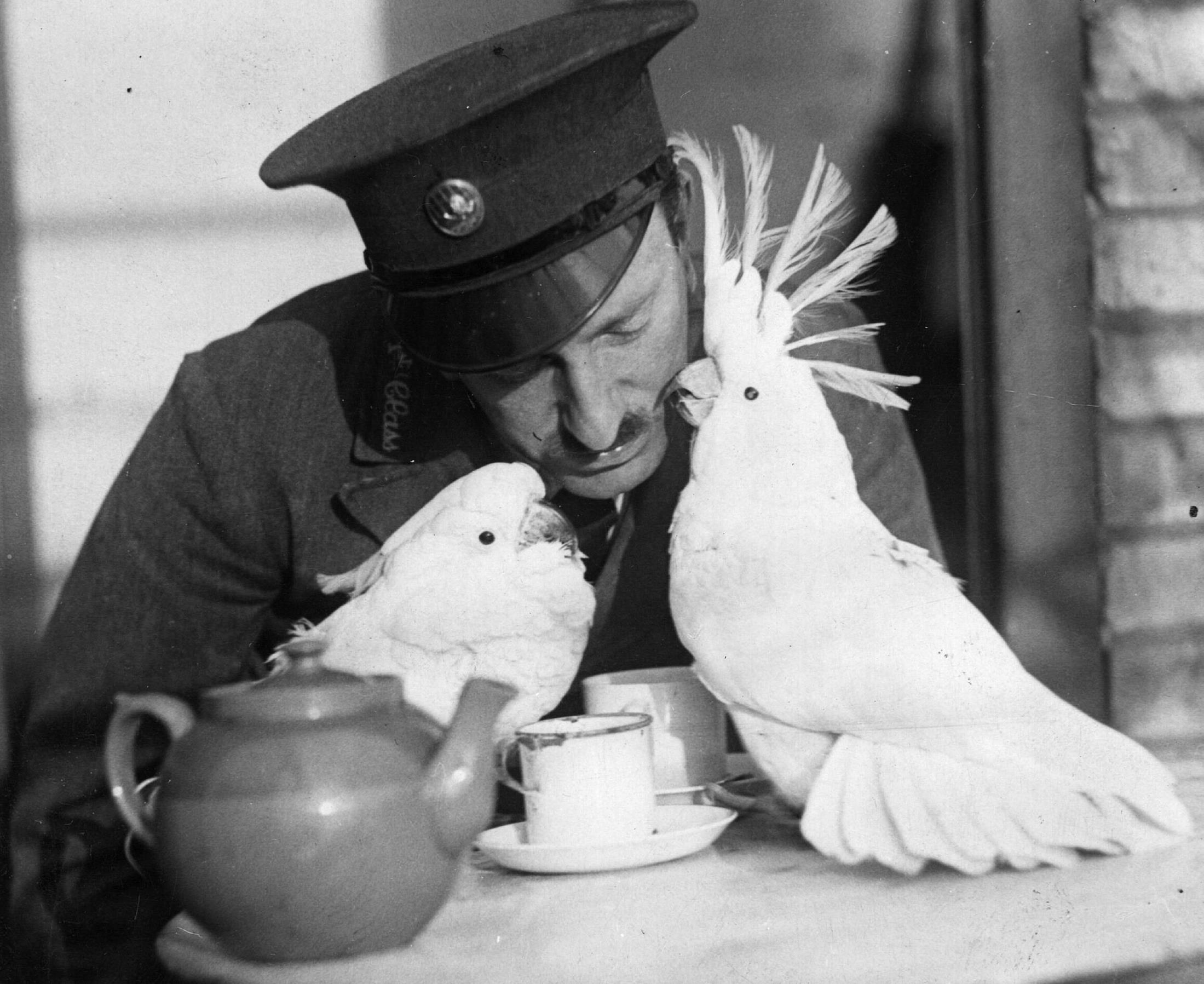 ���������