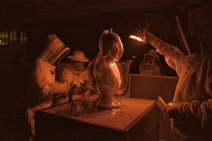 ���������