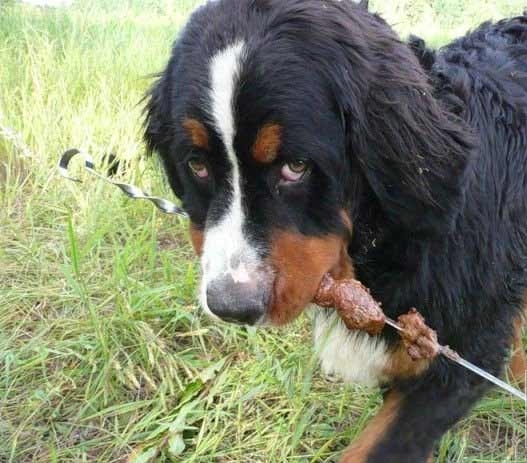 ���������