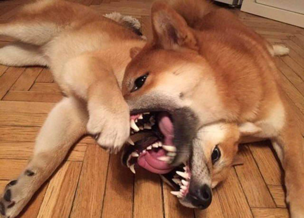 ���������