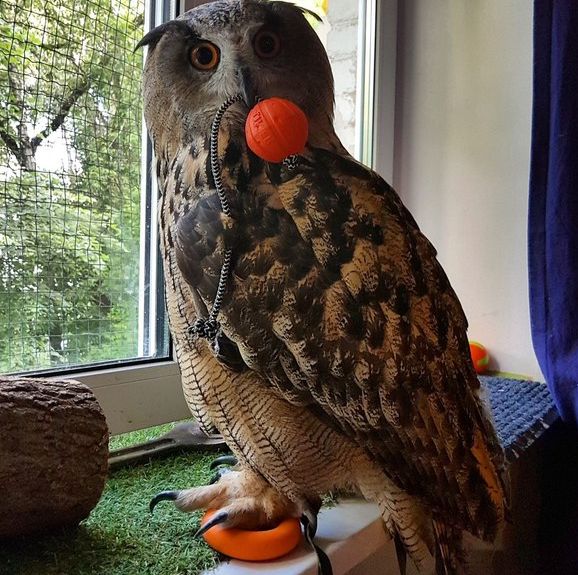 ���������