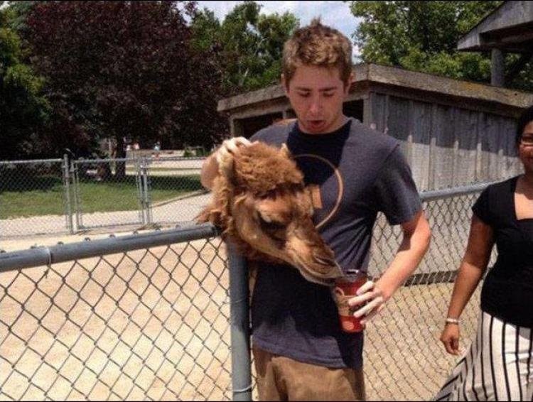 ���������