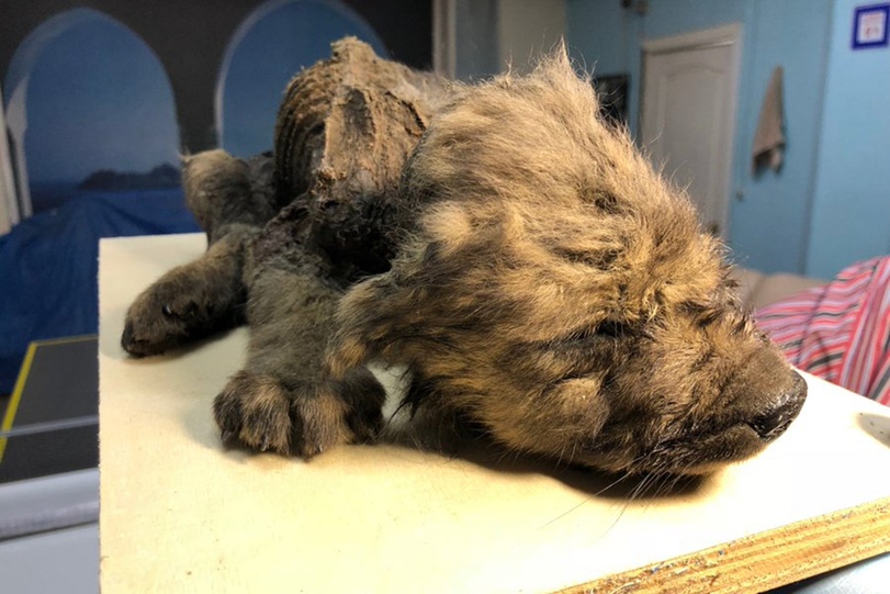 ���������