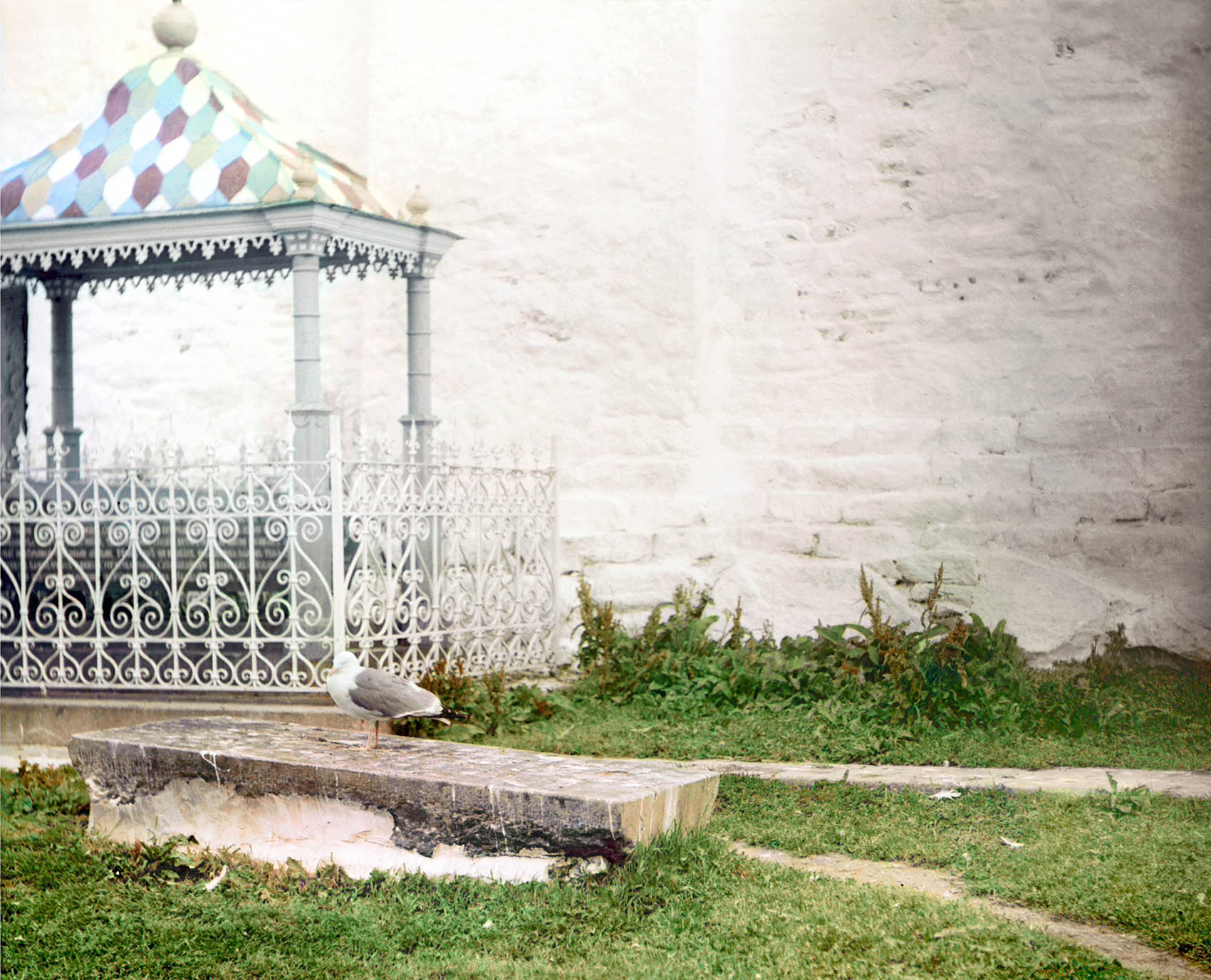 ���������