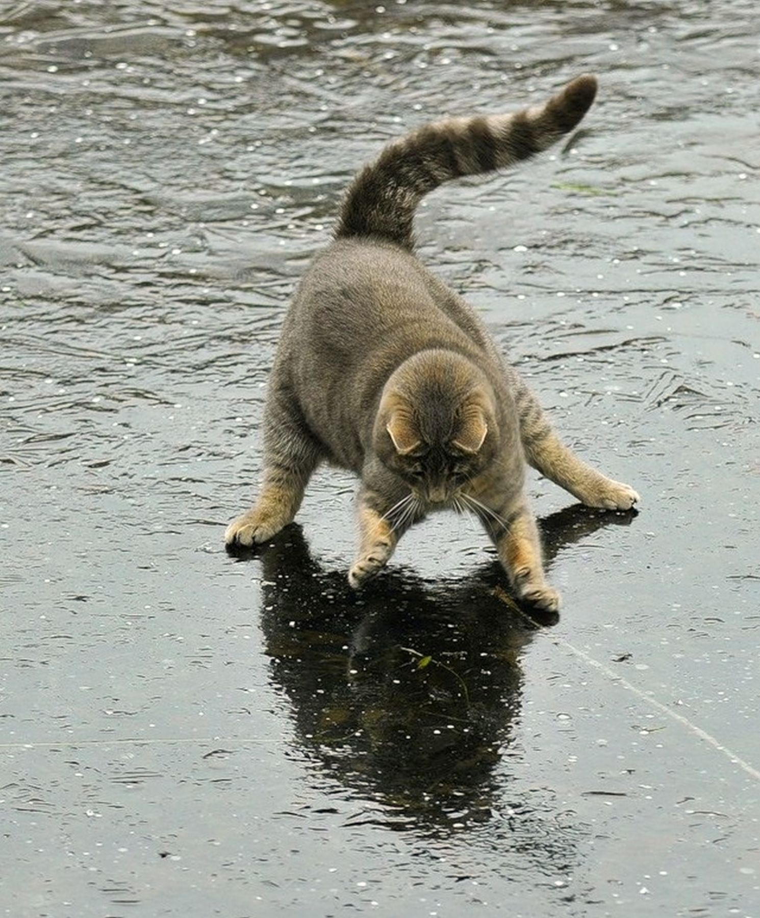 ���������