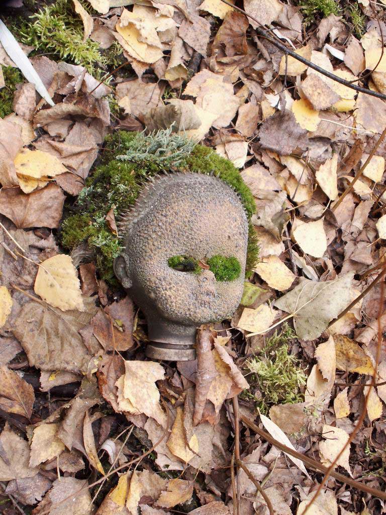 ���������