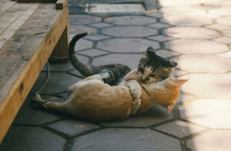 ���������