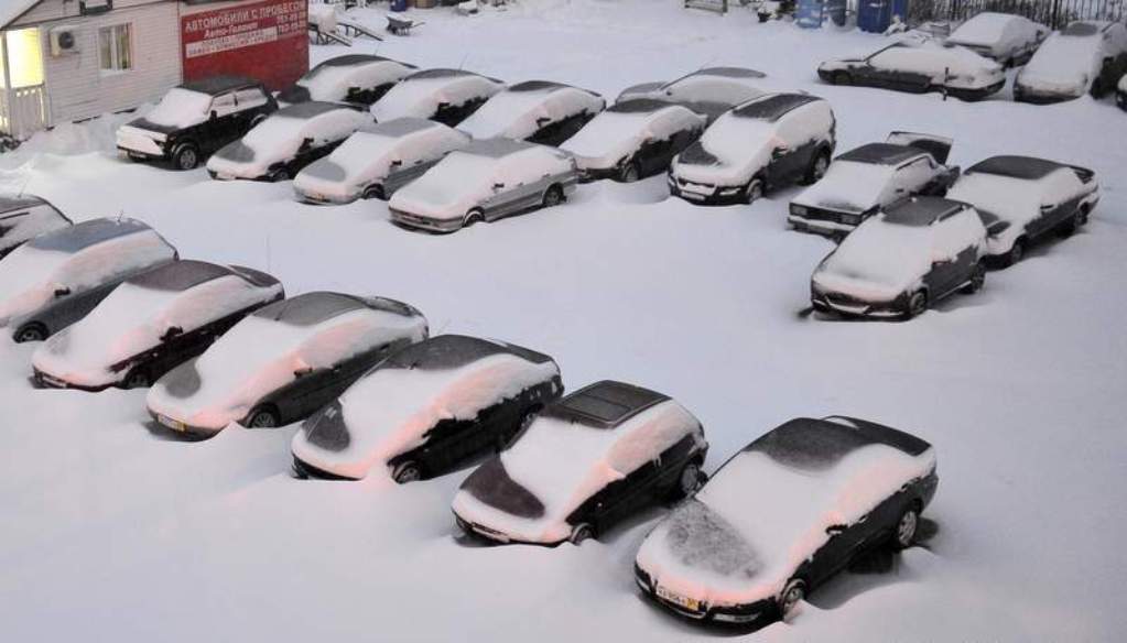 ���������