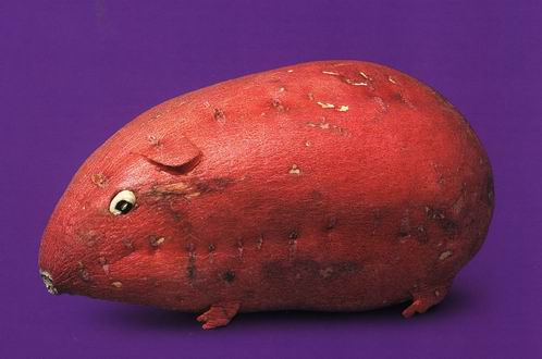 ���������