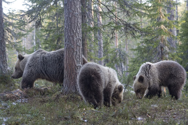 ���������