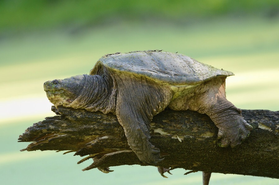 ���������