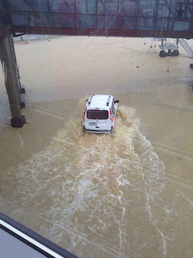 ���������