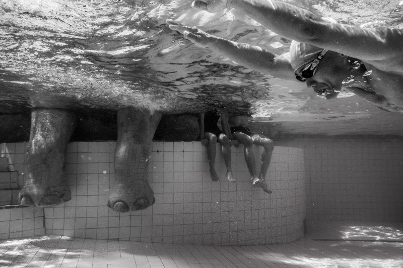 ���������