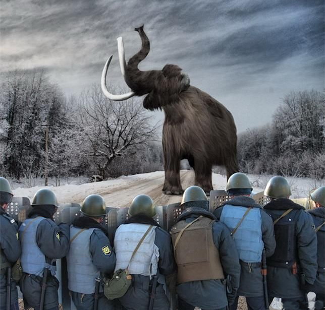 ���������