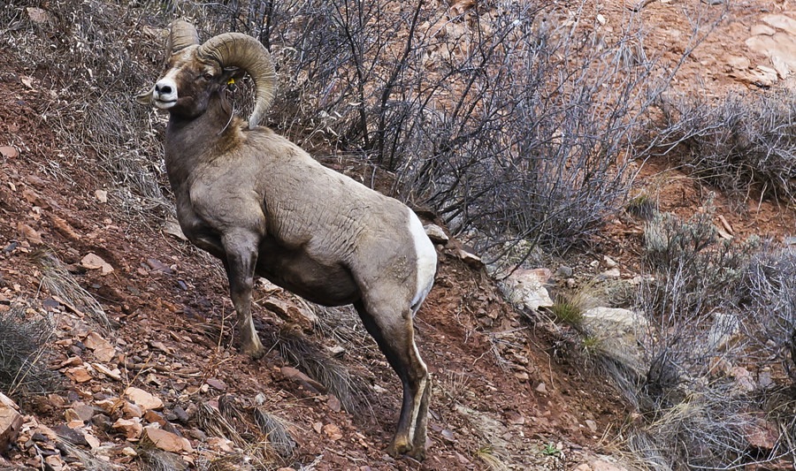 ���������