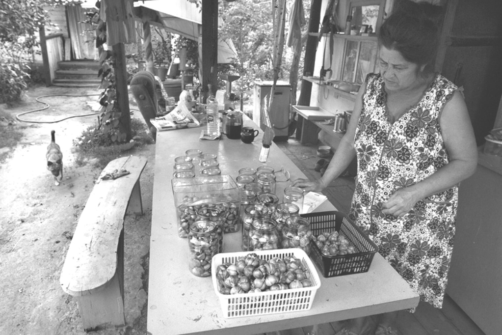 ���������