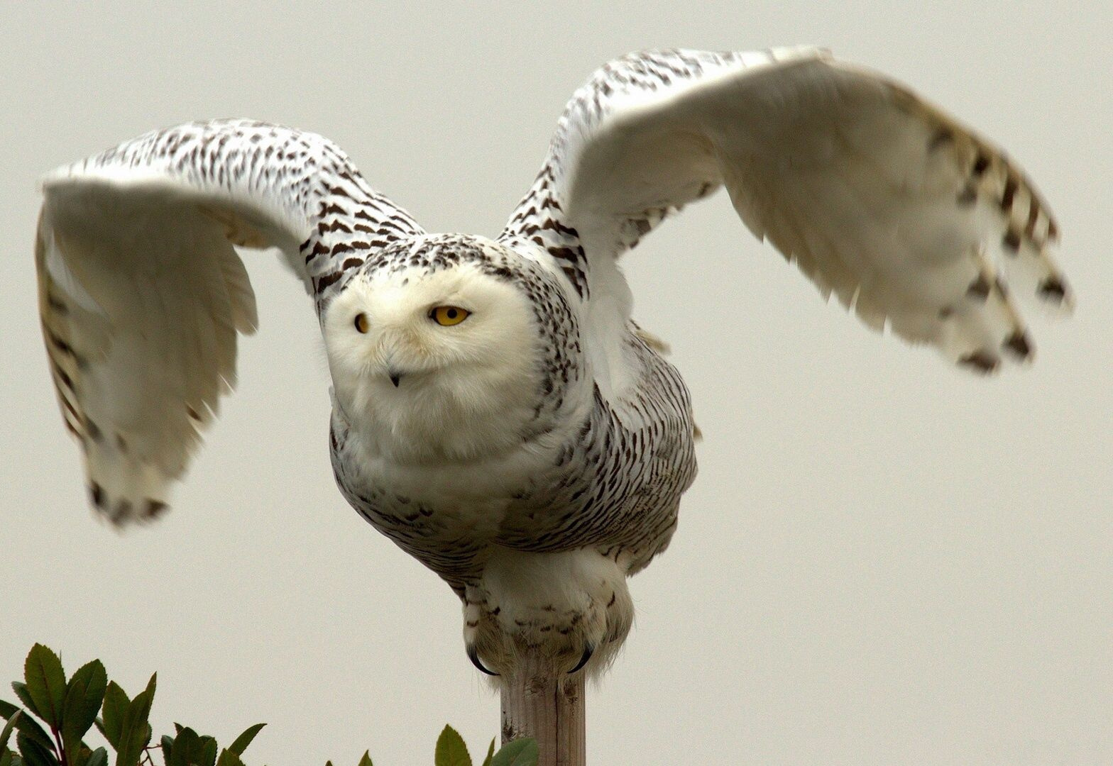 ���������