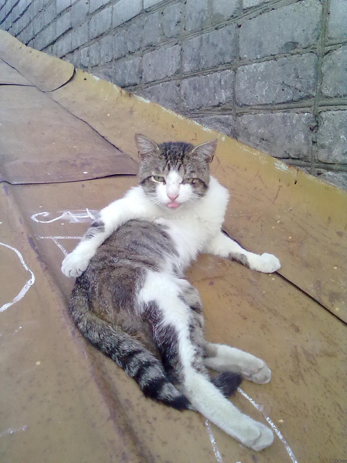 ���������