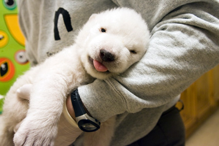 ���������