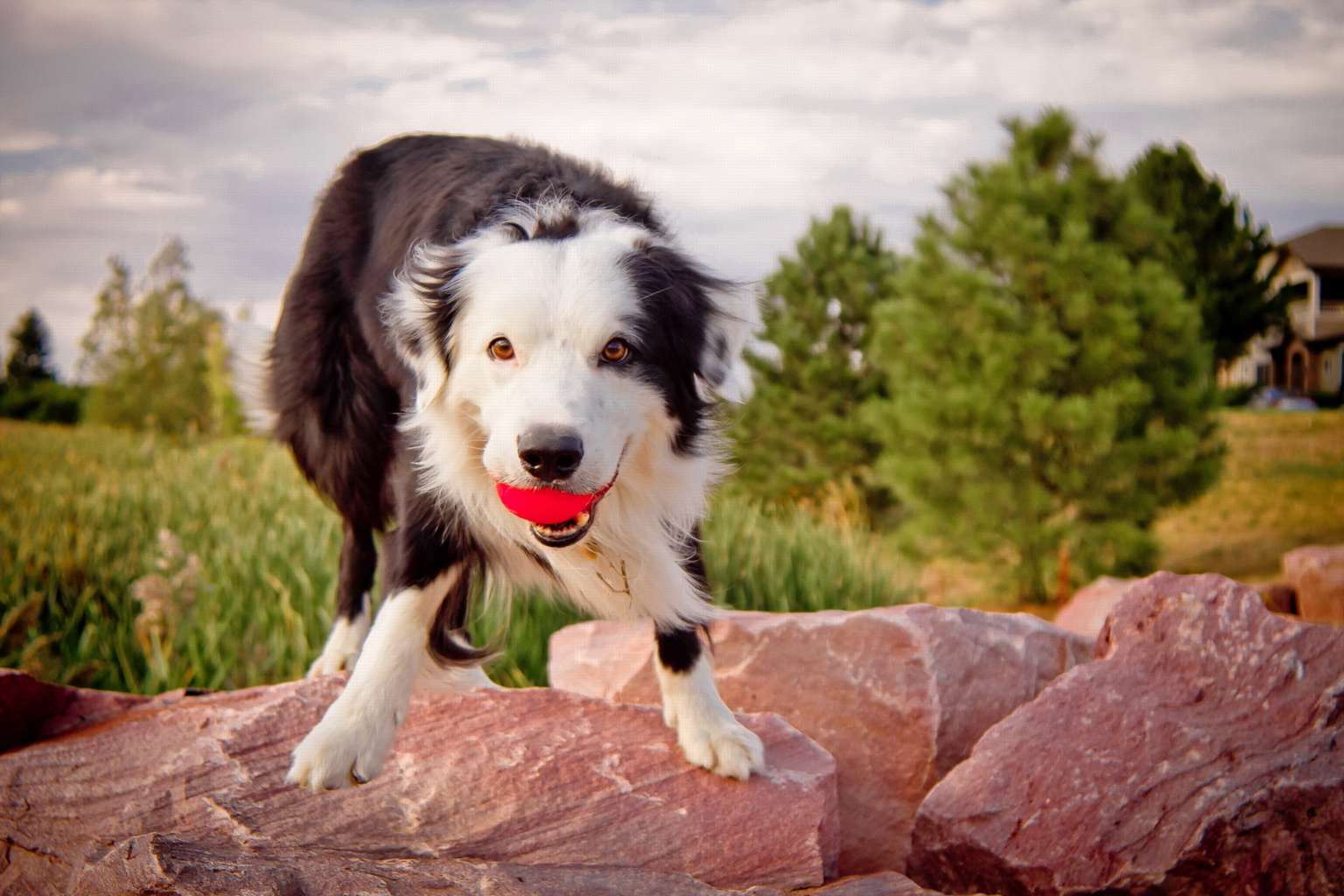 ���������