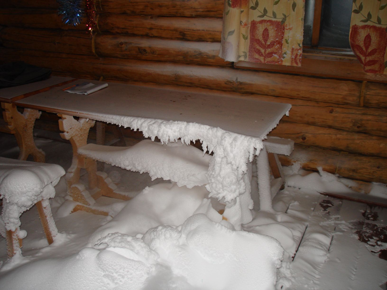 ���������