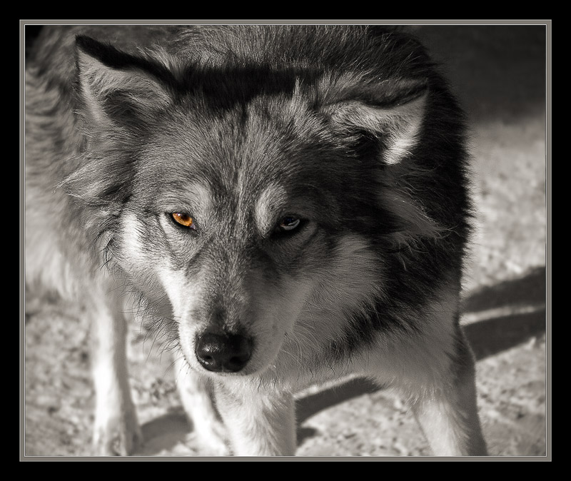 ���������