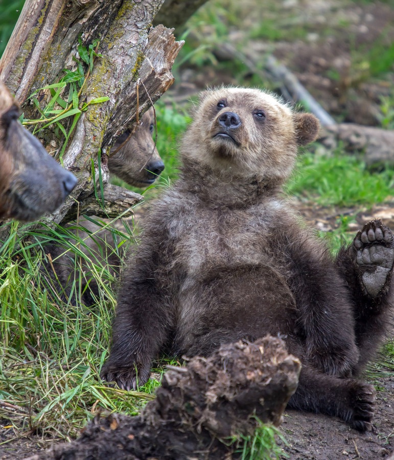 ���������