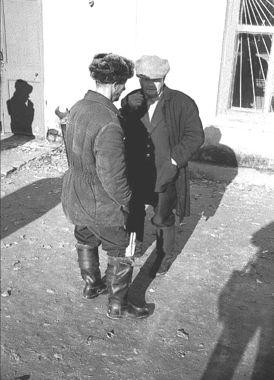 ���������