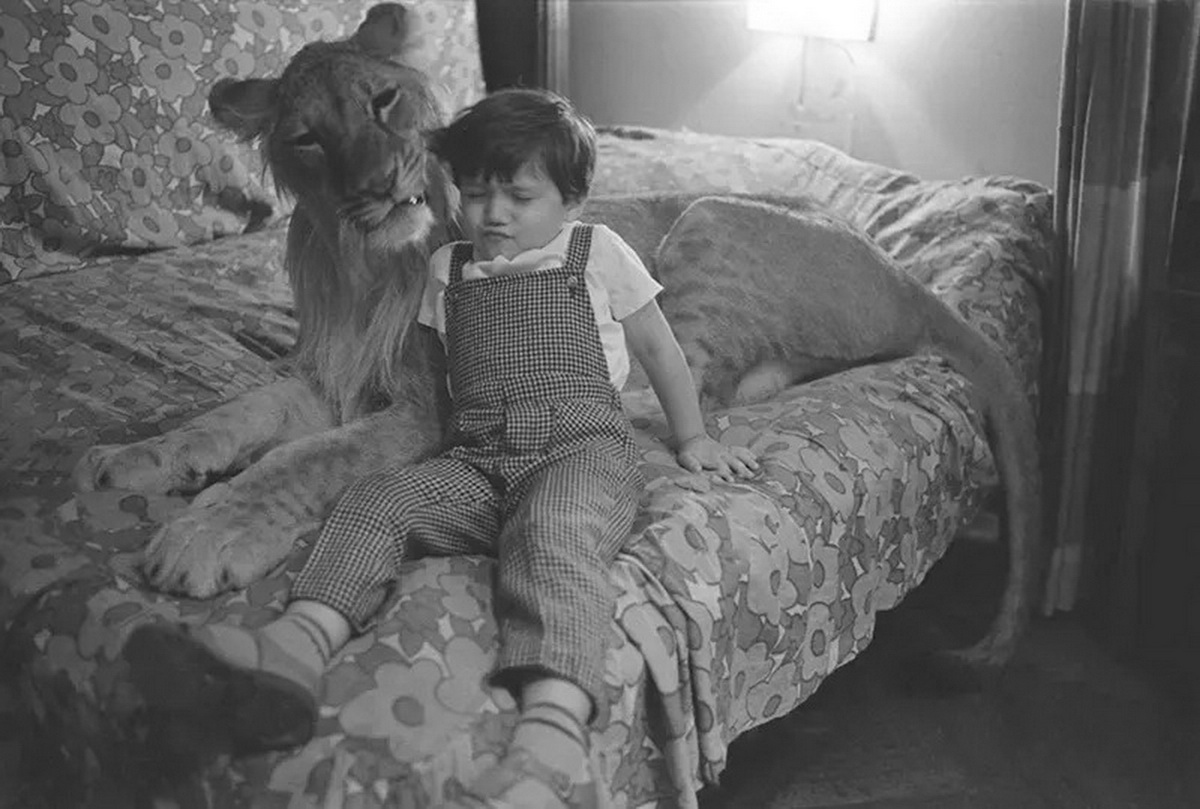 ���������