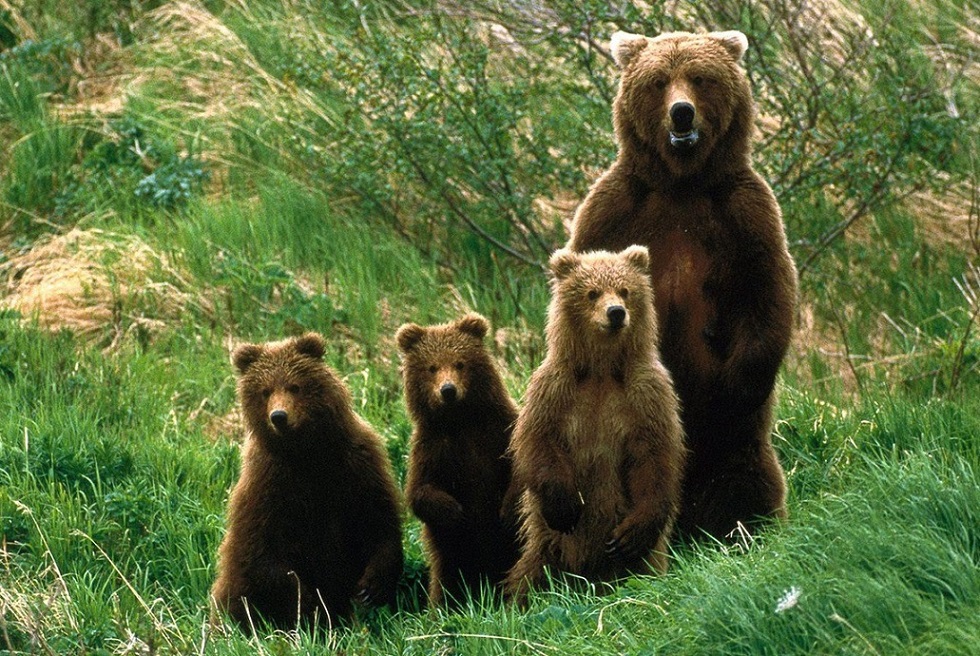 ���������