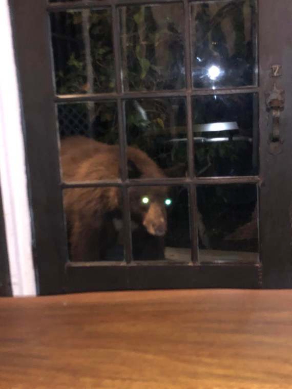 ���������